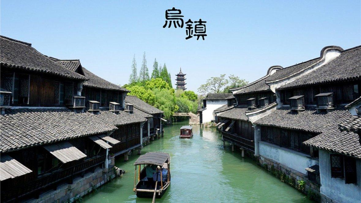你知道枯叶龟吗？枯叶龟能长多大？ 枯叶龟怎么养？游戏画面